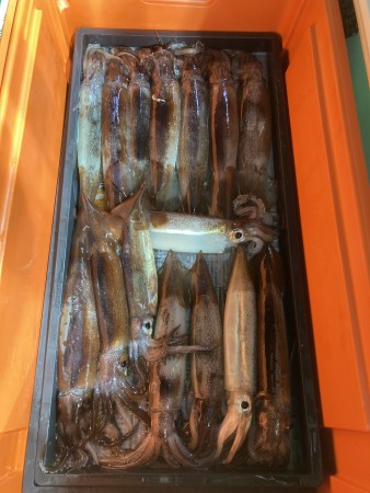 釣果写真
