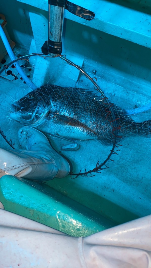 釣果写真