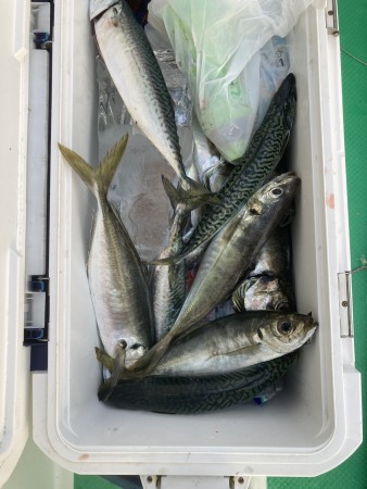 釣果写真