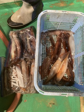 釣果写真