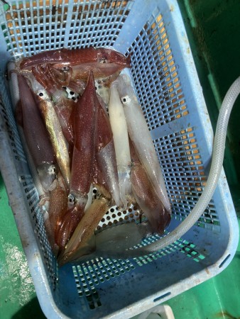 釣果写真