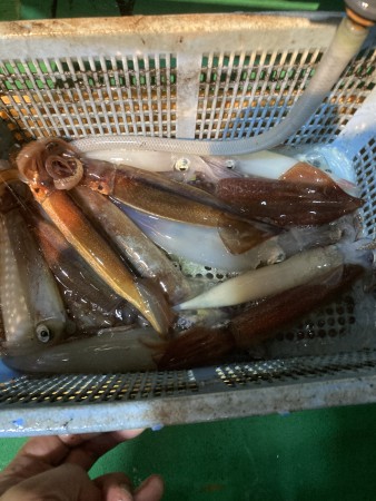 釣果写真