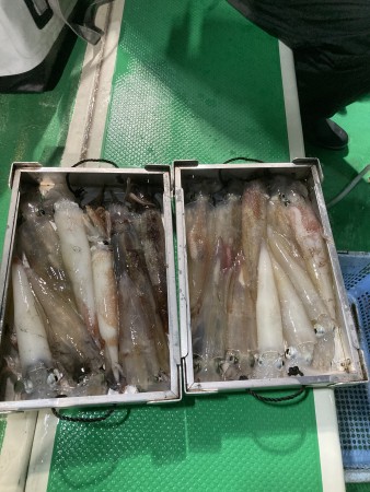 釣果写真