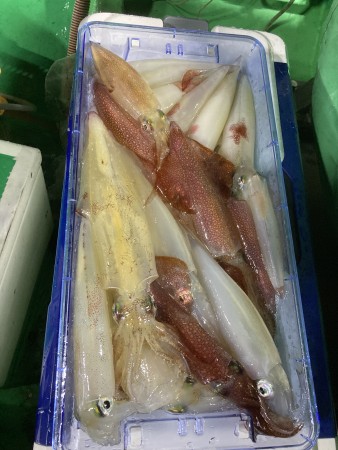 釣果写真