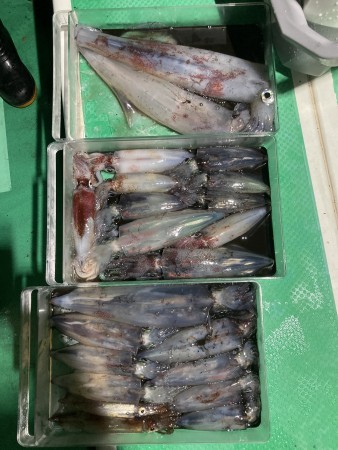 釣果写真
