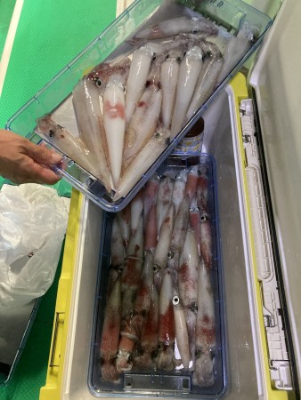 釣果写真