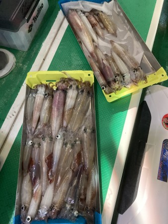 釣果写真