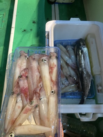 釣果写真
