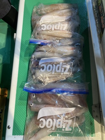 釣果写真