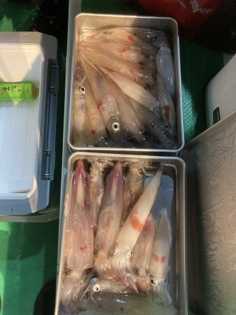 釣果写真