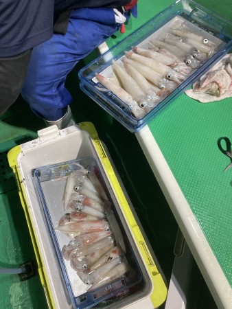 釣果写真