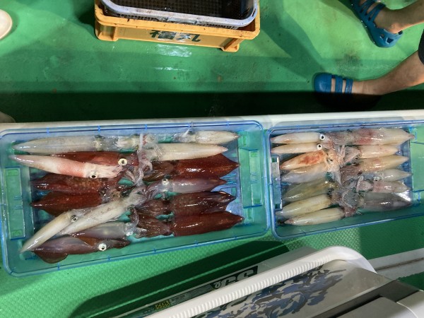 釣果写真