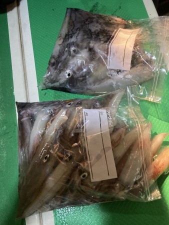 釣果写真