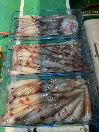 釣果写真