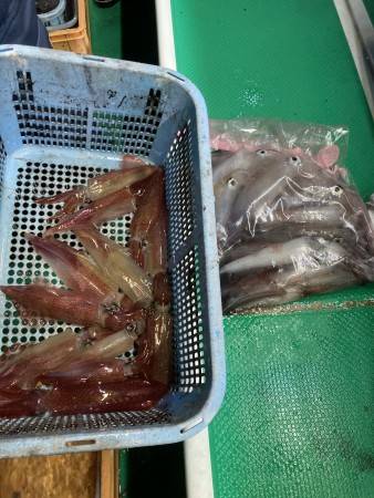 釣果写真