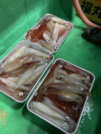 釣果写真