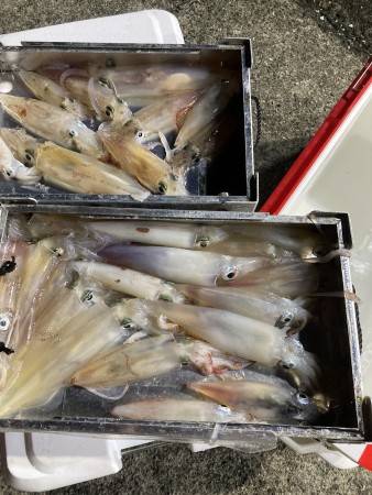 釣果写真