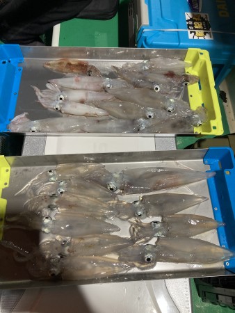 釣果写真