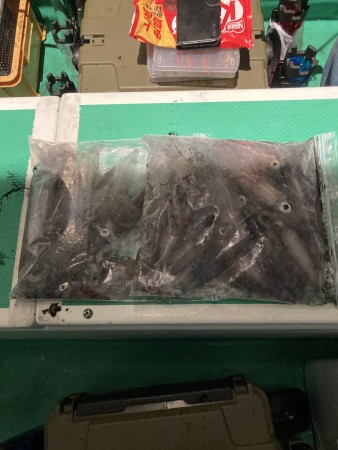 釣果写真