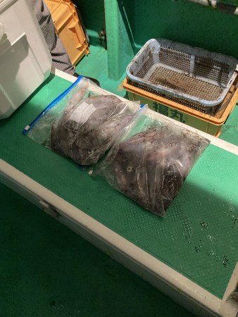 釣果写真