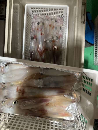 釣果写真