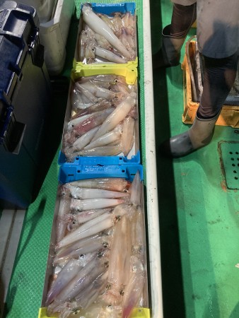 釣果写真