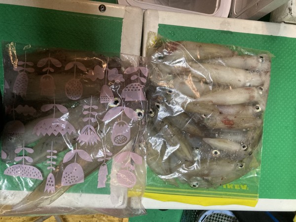 釣果写真