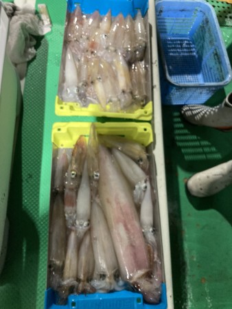 釣果写真