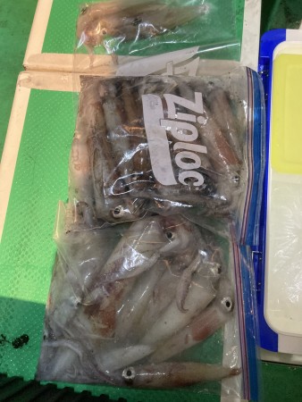 釣果写真