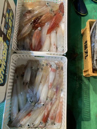 釣果写真