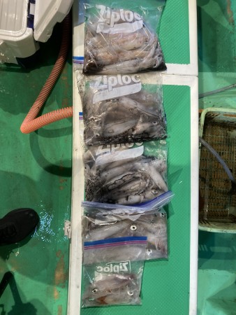釣果写真