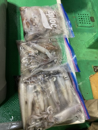 釣果写真