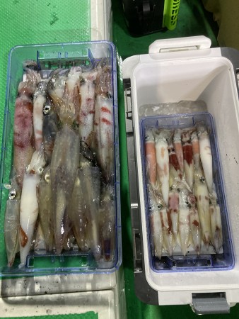 釣果写真