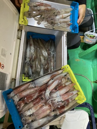 釣果写真
