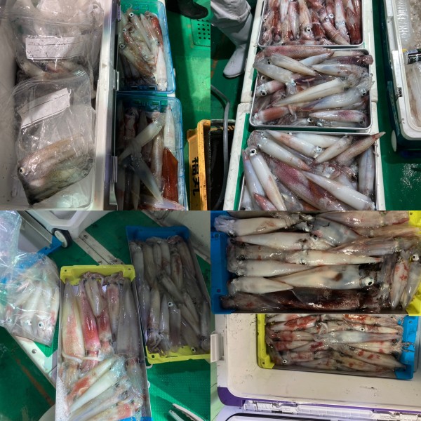 釣果写真
