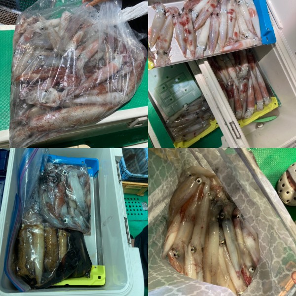 釣果写真