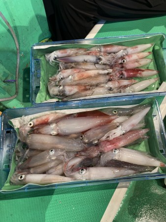 釣果写真