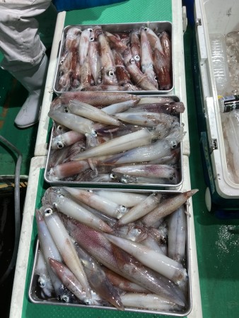 釣果写真