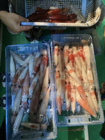釣果写真