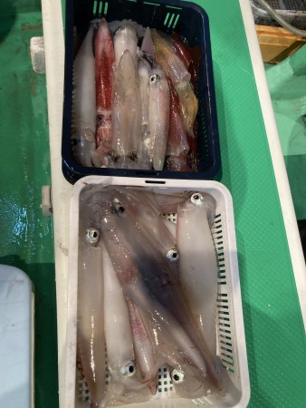 釣果写真