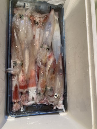 釣果写真