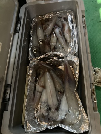 釣果写真