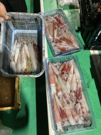 釣果写真