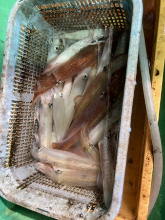釣果写真