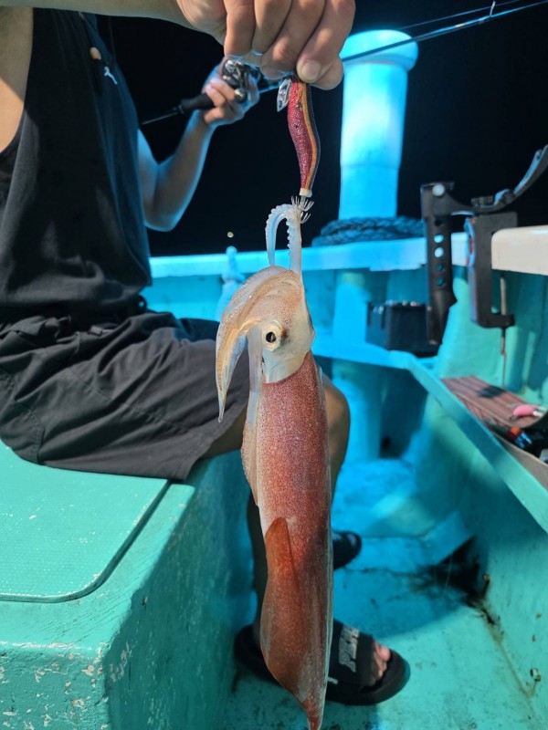 釣果写真