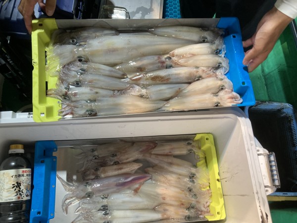 釣果写真