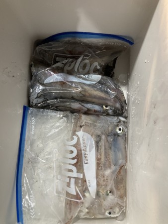 釣果写真
