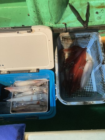 釣果写真