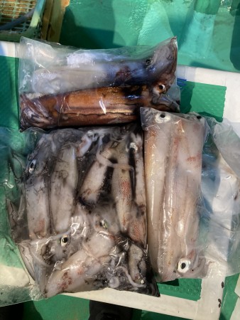 釣果写真