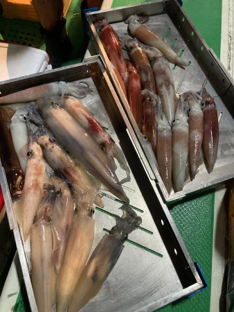 釣果写真